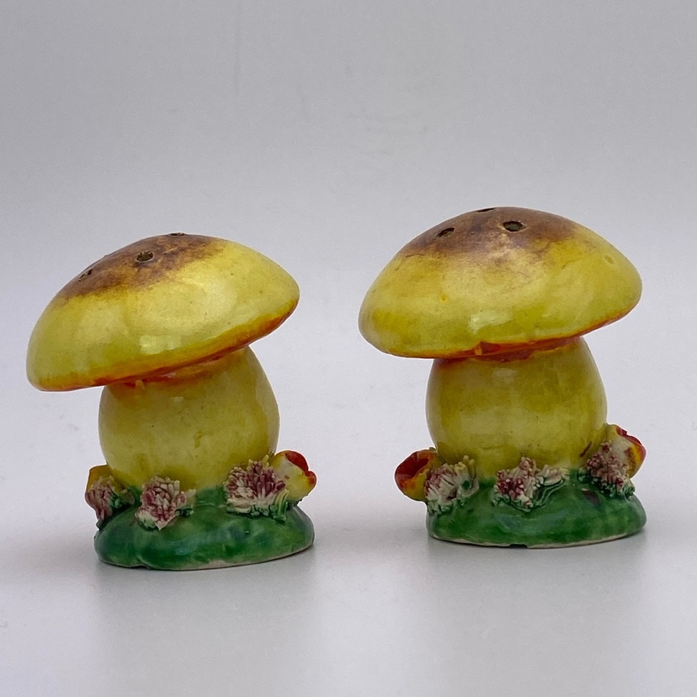Vintage Mushroom Flowers Salt and Pepper Shakers Made in Japan
